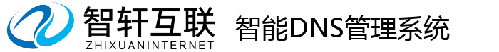 智能DNS管理系统